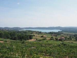 View,Of,Lago,Di,Viverone,Lake,In,Piedmont,,Italy