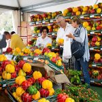 Fiera-Peperone-vendita-1md