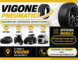 Vigone_Pneomatici